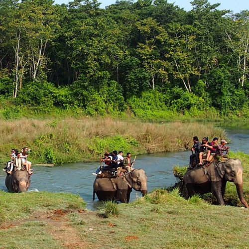 Chitwan Jungle Safari
